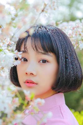 震惊！善良女秘书背后竟藏着这些秘密？数字谜团大揭秘！
